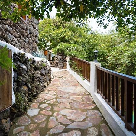 이코드레로스비노스 Finca El Molledo El Patio 아파트 외부 사진