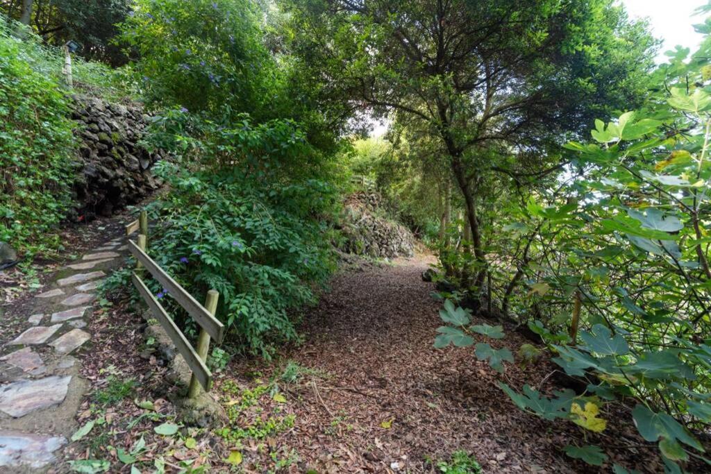 이코드레로스비노스 Finca El Molledo El Patio 아파트 외부 사진